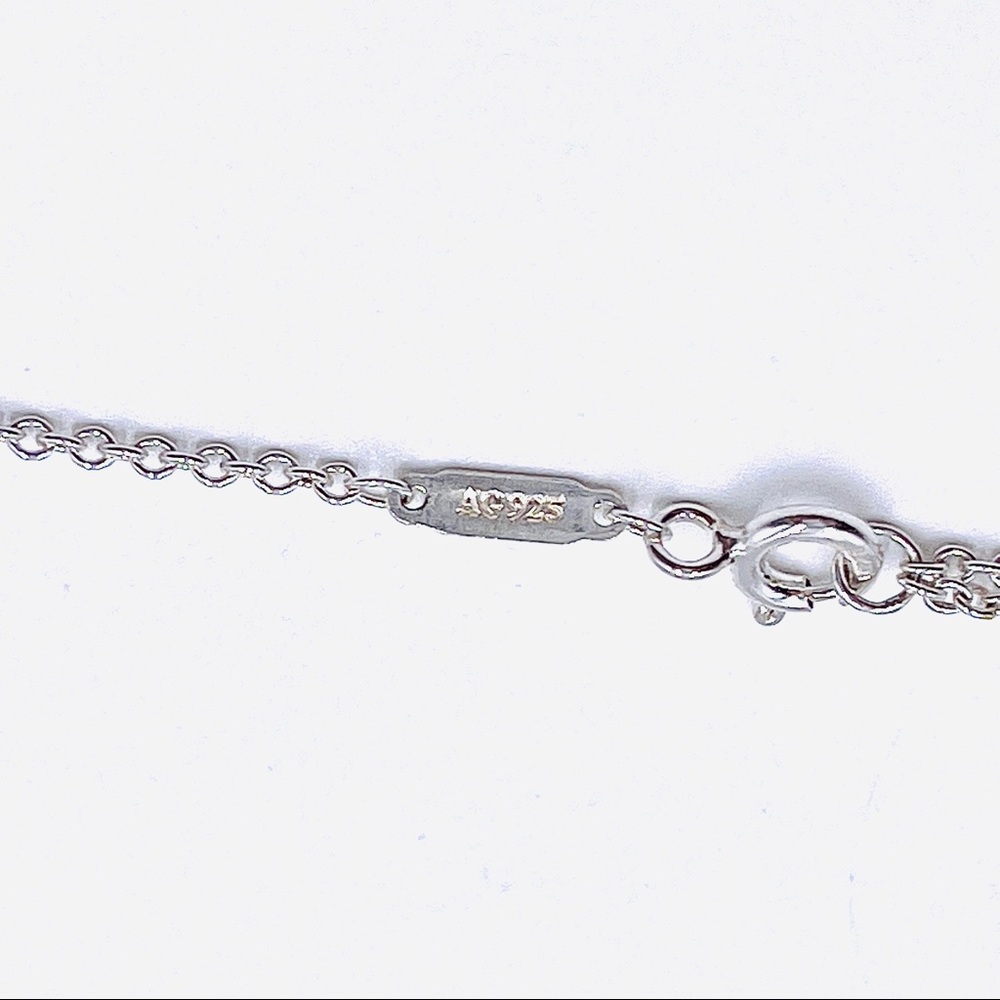 Tiffany & Co. Oval RTT Splash Tag & Necklace - Picture 6 of 9